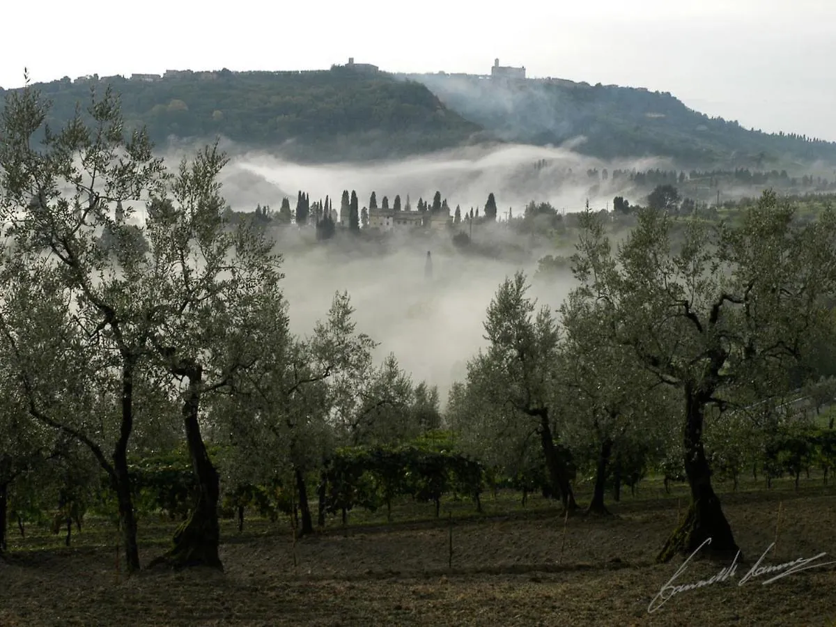 Holiday Home Il Rustico By Interhome Volterra